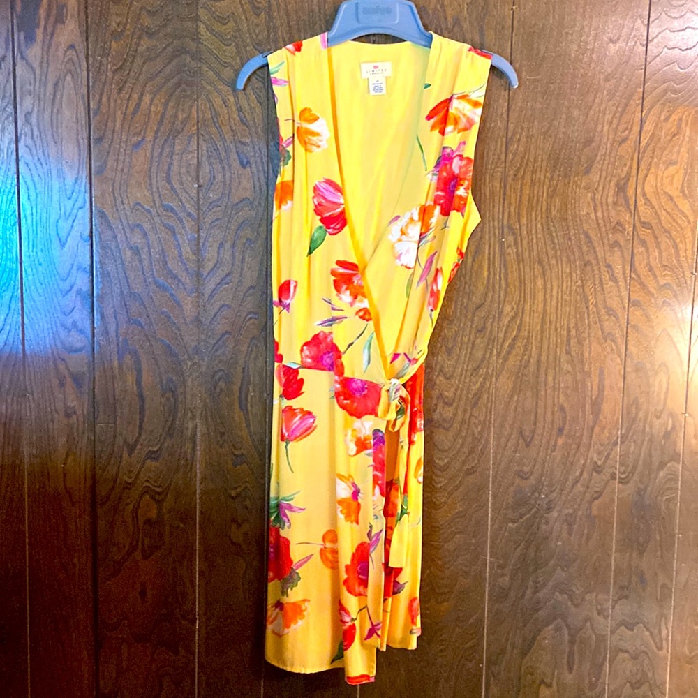 Wrap dress from the Limited